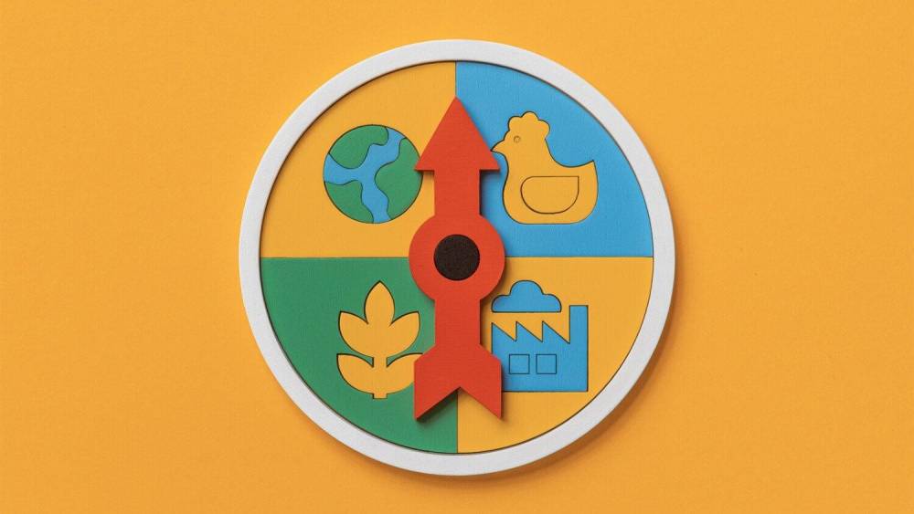 مقاومت دارویی در بیماریهای عفونی شایع