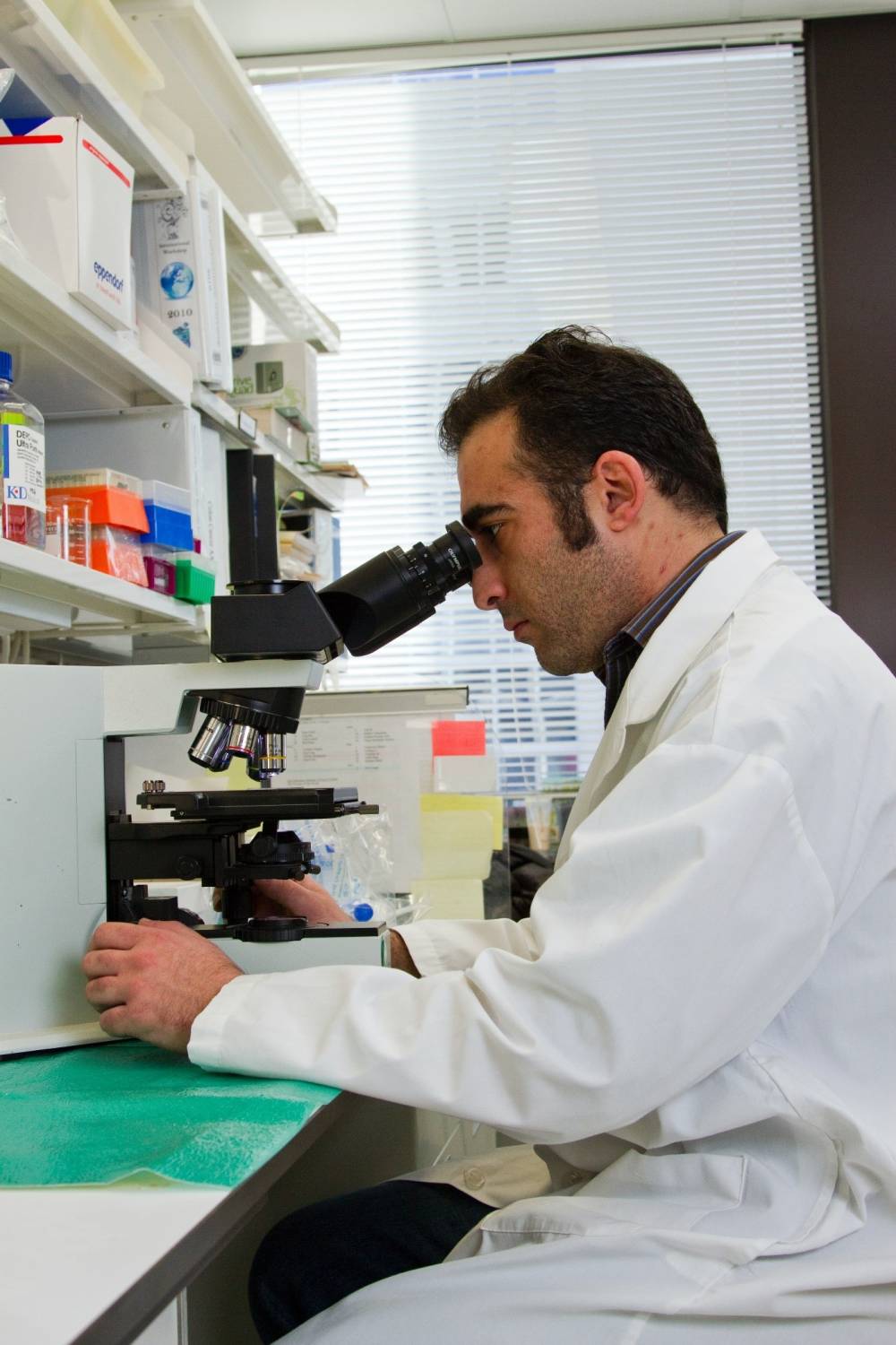 اهمیت تشخیصی تست خون مخفی مدفوع در تشخیص سرطانها و بیماریهای گوارشی